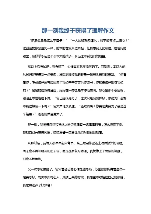 那一刻我终于获得了理解作文