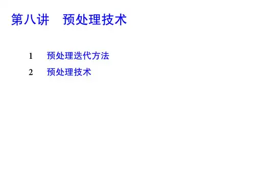 第八讲预处理技术