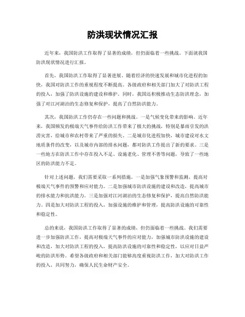 防洪现状情况汇报