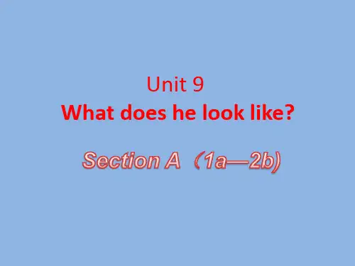 人教版 七年级英语 下册 Unit_9_What_does_he_look_like