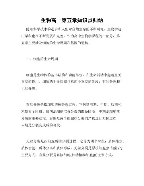 生物高一第五章知识点归纳