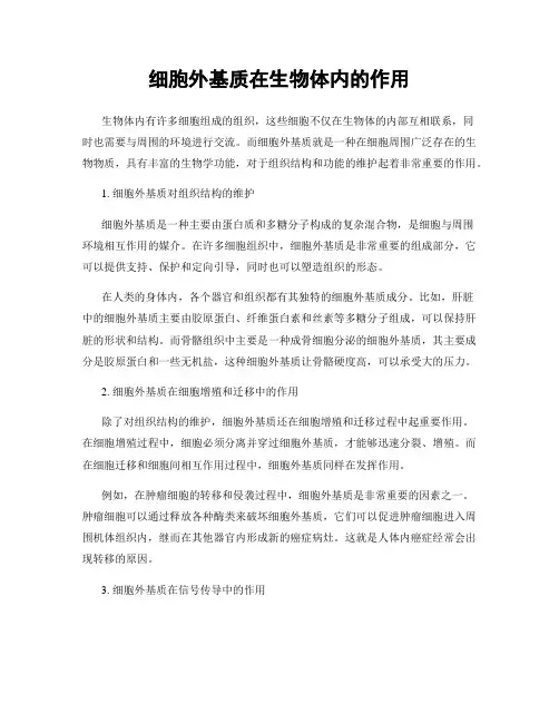 细胞外基质在生物体内的作用