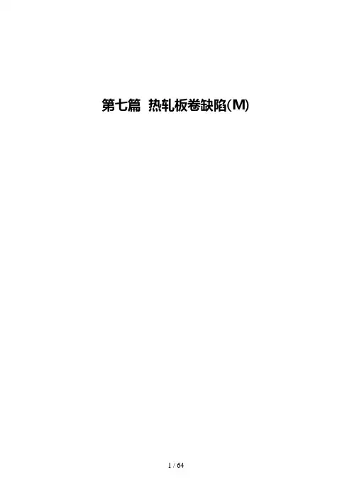 热轧板卷缺陷