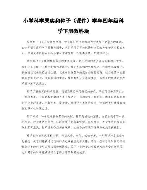 小学科学果实和种子(课件)学年四年级科学下册教科版