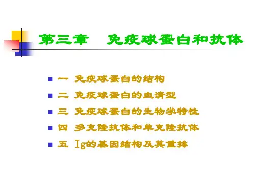 第三章 免疫球蛋白和抗体(a)
