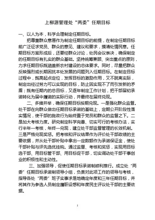 两委参考资料任期目标和年度计划