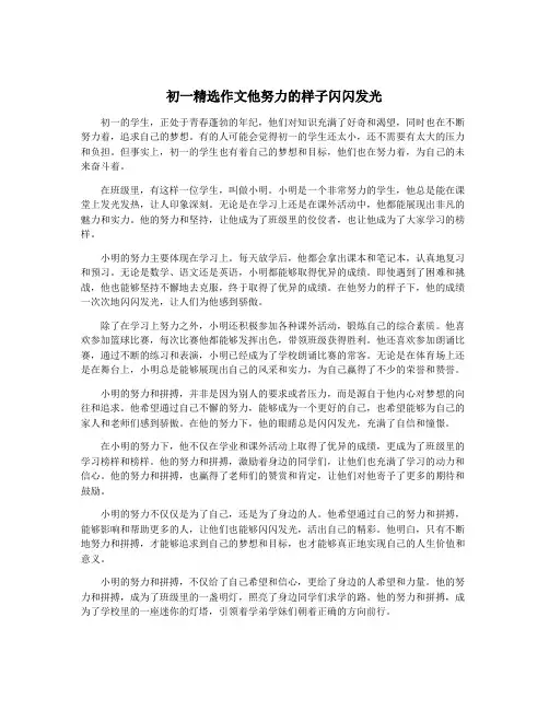 初一精选作文他努力的样子闪闪发光