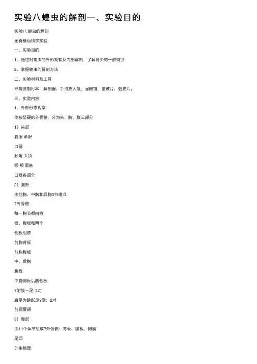 实验八蝗虫的解剖一、实验目的
