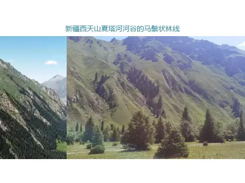2024届高考区域地理复习课件：非洲