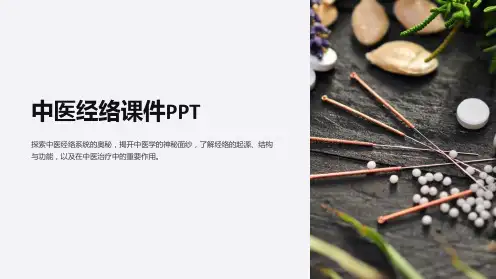 中医经络课件PPT