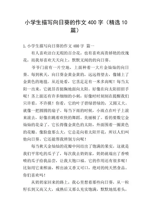 小学生描写向日葵的作文400字(精选10篇)