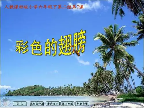 人教版小学语文六年级上册 彩色的翅膀 课件