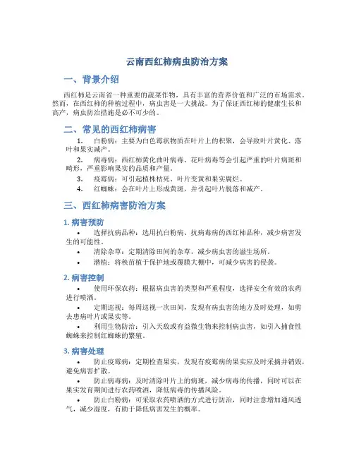 云南西红柿病虫防治方案