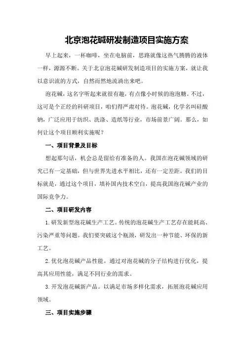 北京泡花碱研发制造项目实施方案