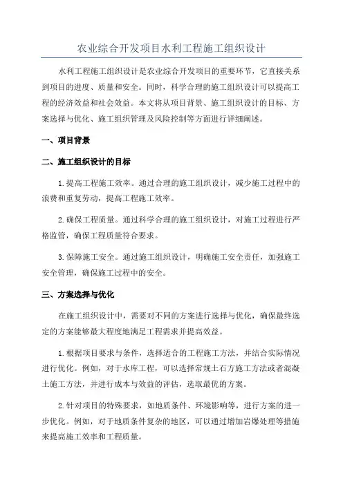 农业综合开发项目水利工程施工组织设计