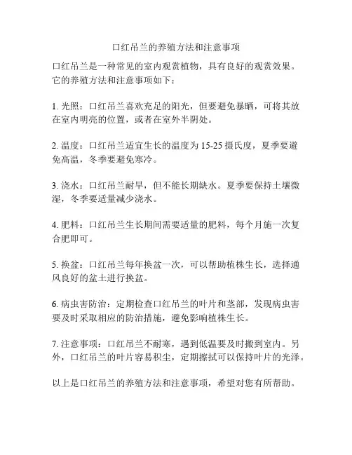口红吊兰的养殖方法和注意事项