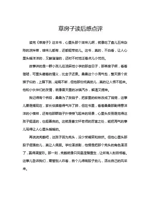 草房子读后感点评