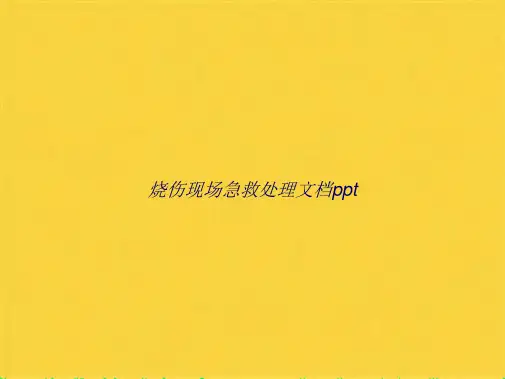 烧伤现场急救处理(共38张PPT)