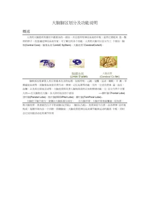各脑区划分及功能-大脑对应的功能区.docx