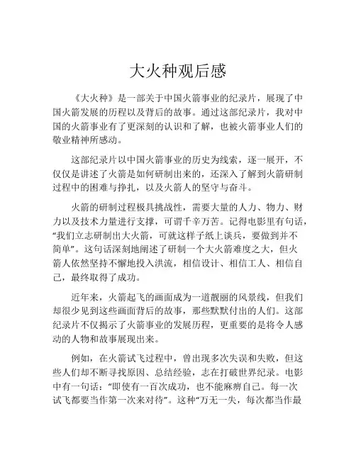 大火种观后感