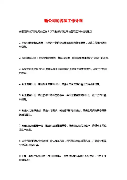 新公司的各项工作计划