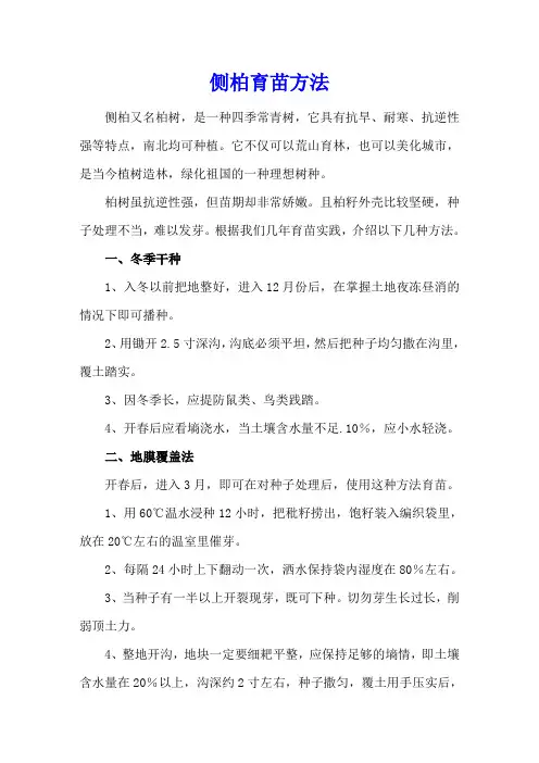 侧柏育苗方法