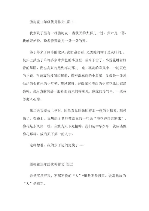 腊梅花三年级优秀作文