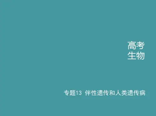 高考二轮复习伴性遗传和人类遗传病课件(24张)北京版