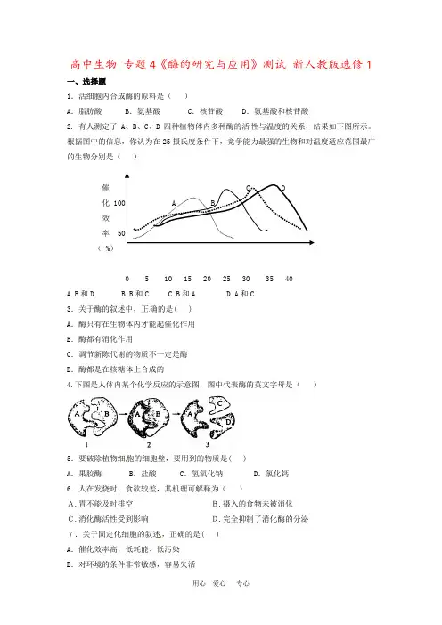 高中生物 专题4《酶的研究与应用》测试 新人教版选修1