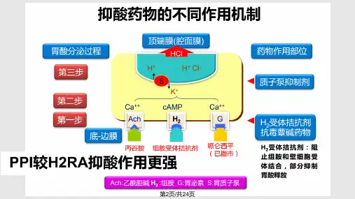 质子泵抑制剂合理使用建议.pptx