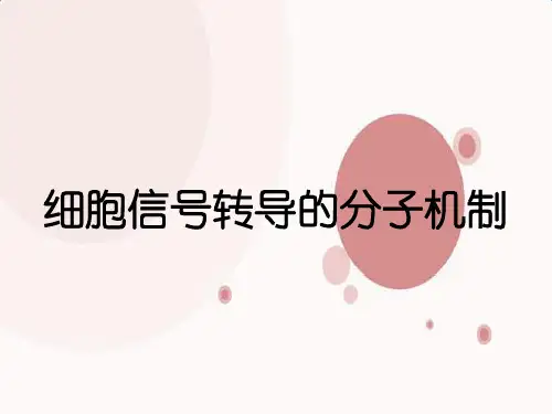 细胞信号转导的分子机制