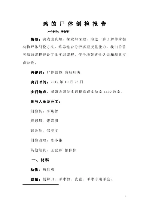 鸡的尸体剖检报告