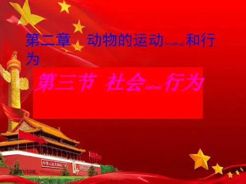 八年级生物上册 第五单元第二章第三节社会行为课件