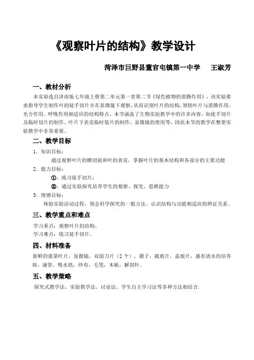 观察叶片的结构教学设计