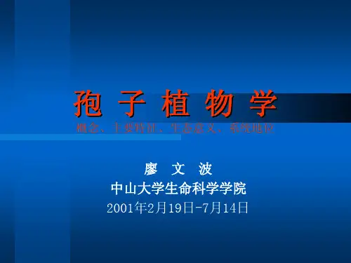 3-分类-菌物界各门