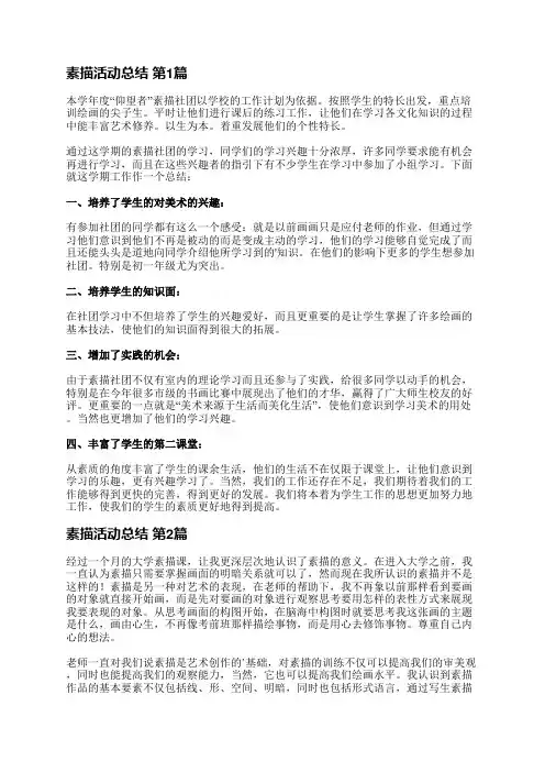 素描活动总结(必备4篇)