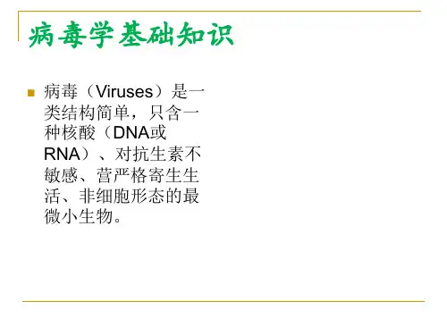 病毒学基础知识 ppt课件