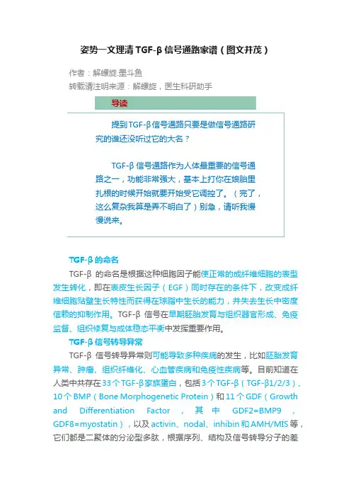 姿势一文理清TGF-β信号通路家谱（图文并茂）