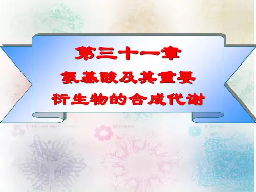 第28章 氨基酸及其重要衍生物合成 扬州大学《生物化学》课件