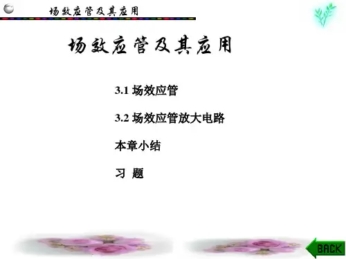 模拟电子技术(第四版)课件：场效应管及其应用