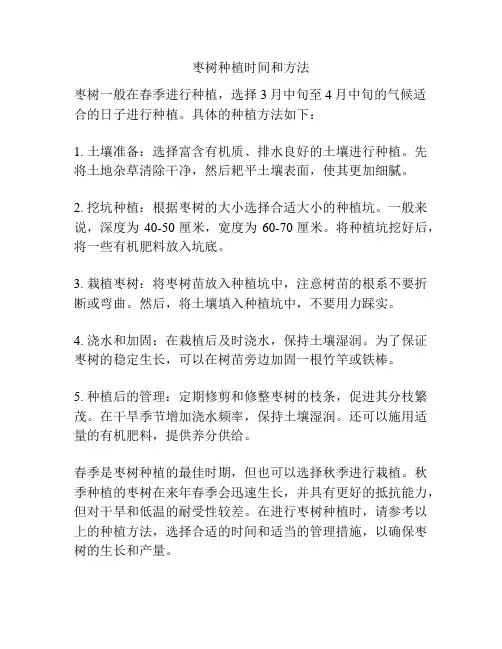 枣树种植时间和方法