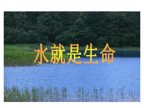 水就是生命