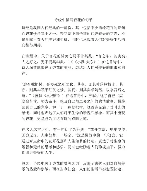 诗经中描写杏花的句子
