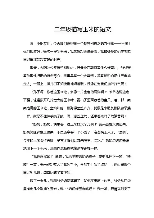 二年级描写玉米的短文