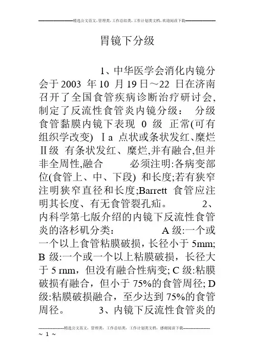 胃镜下分级