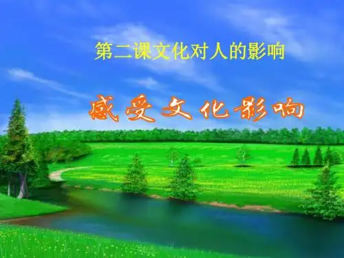 高二政治感受文化的影响(新编2019教材)