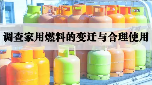 跨学科实践活动6 调查家用燃料的变迁与合理使用-2024-2025学年九年级化学人教版上册