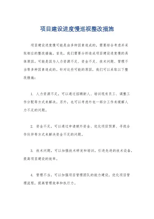 项目建设进度慢巡视整改措施