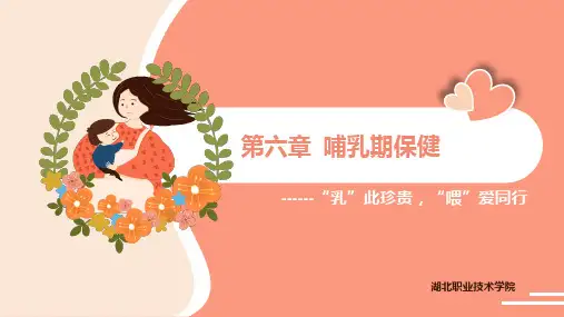 重大社2024《母婴保健》教学课件第六章 哺乳期保健 课件