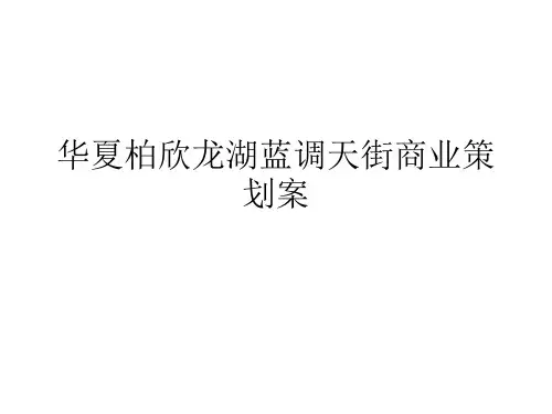 华夏柏欣龙湖蓝调天街商业策划案